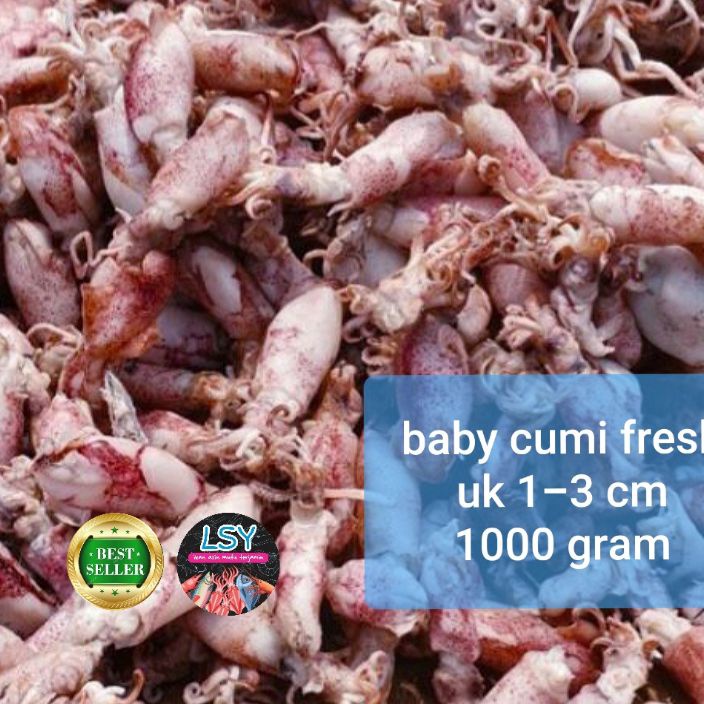 

PROMO MURAH ikan asin baby cumi cumi asin cumi rebus 78 berat 1kg