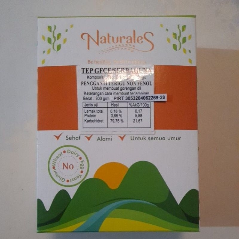 

aina Tepung GFCF Pengganti Terigu Gluten Free Casein Free Non-Fenol Aman bagi Autism, ADHD,