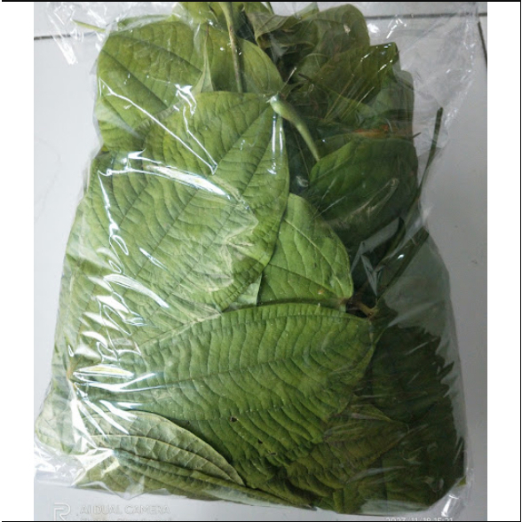 

Daun Gadung Segar/ Fresh Gadung Leaves
