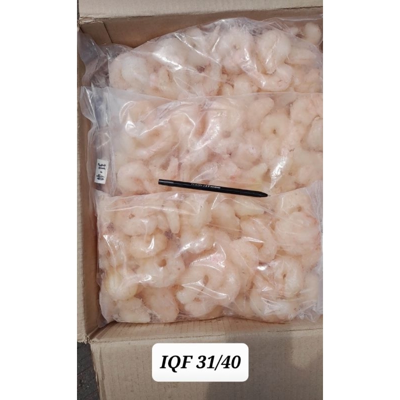 

UDANG LAUT KUPAS BERSIH