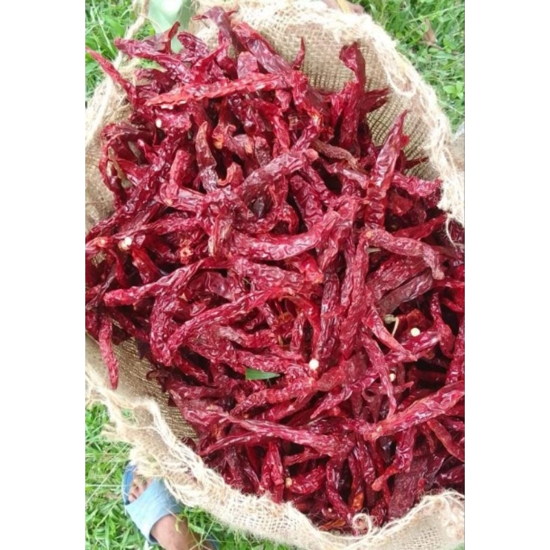 

cabe kriting india 1kg