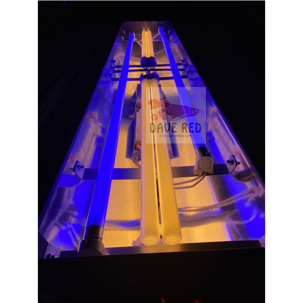 2 Aquazonic 2 PLL putih Lampu Tanning Arwana Pengganti Cahaya Matahari Dave Red Made in Polland
