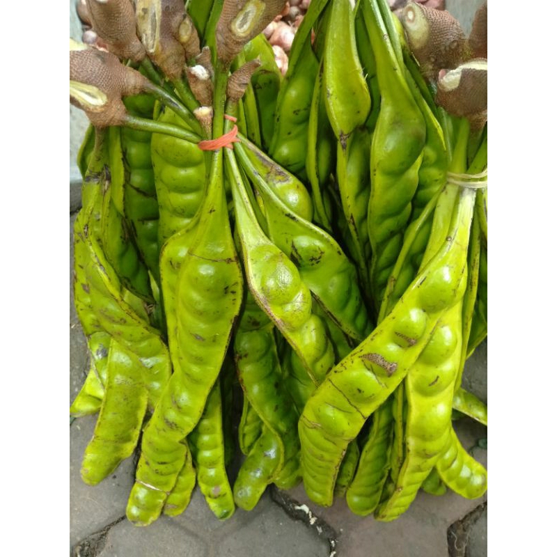 

Sayur petai 10 lonjor ikat