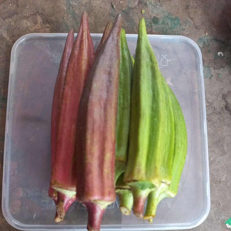 

okra 250 gr