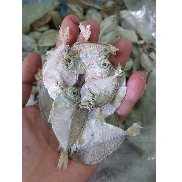 

ikan asin maco 500gr