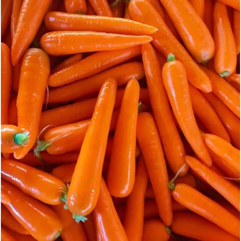 

wortelmanisbrastagifreshsegar