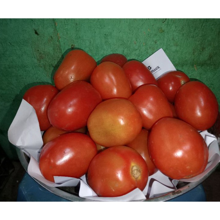 

TERMURAH TOMAT MERAH FRESH PER 1 KG