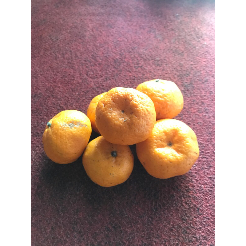 

Buah Jeruk santang Honey Tangerine