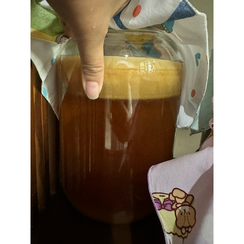 

Starter Kombucha usia 1 bulan Free SCOBY