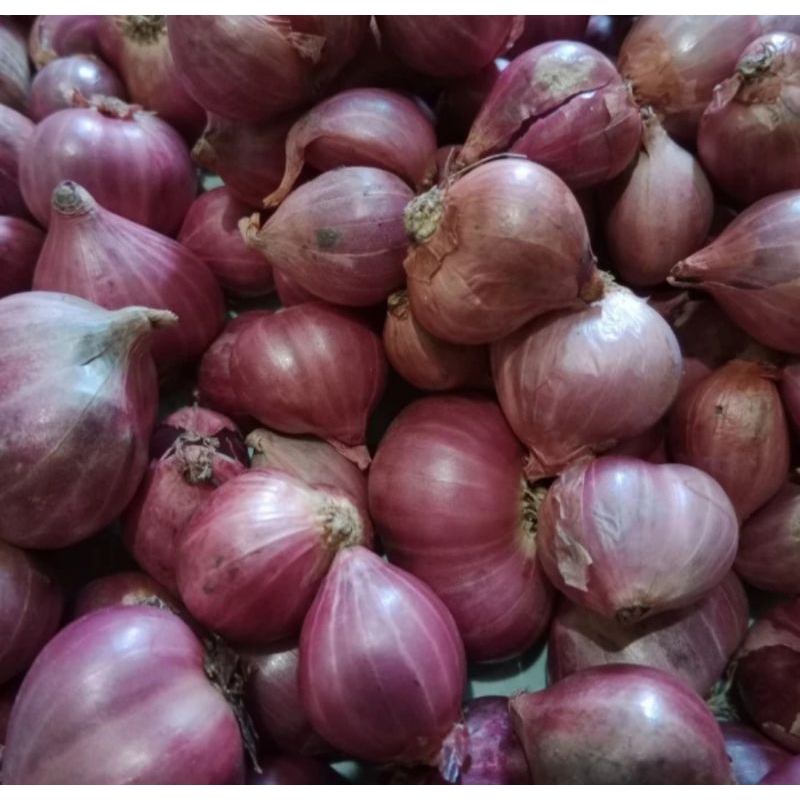 

Bawang merah utuh