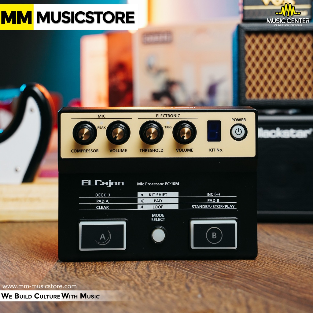 Roland EC10M ElCajon Mic Processor