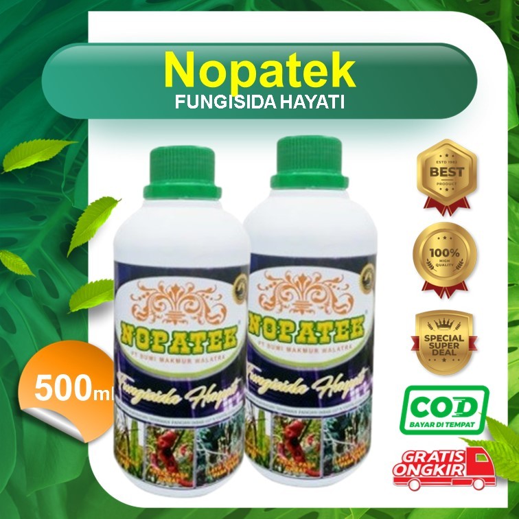 Fungisida OBAT PATEK CABE PALING AMPUH, OBAT PATEK CABE ALAMI, OBAT PATEK CABE ORGANIK - NOPATEK