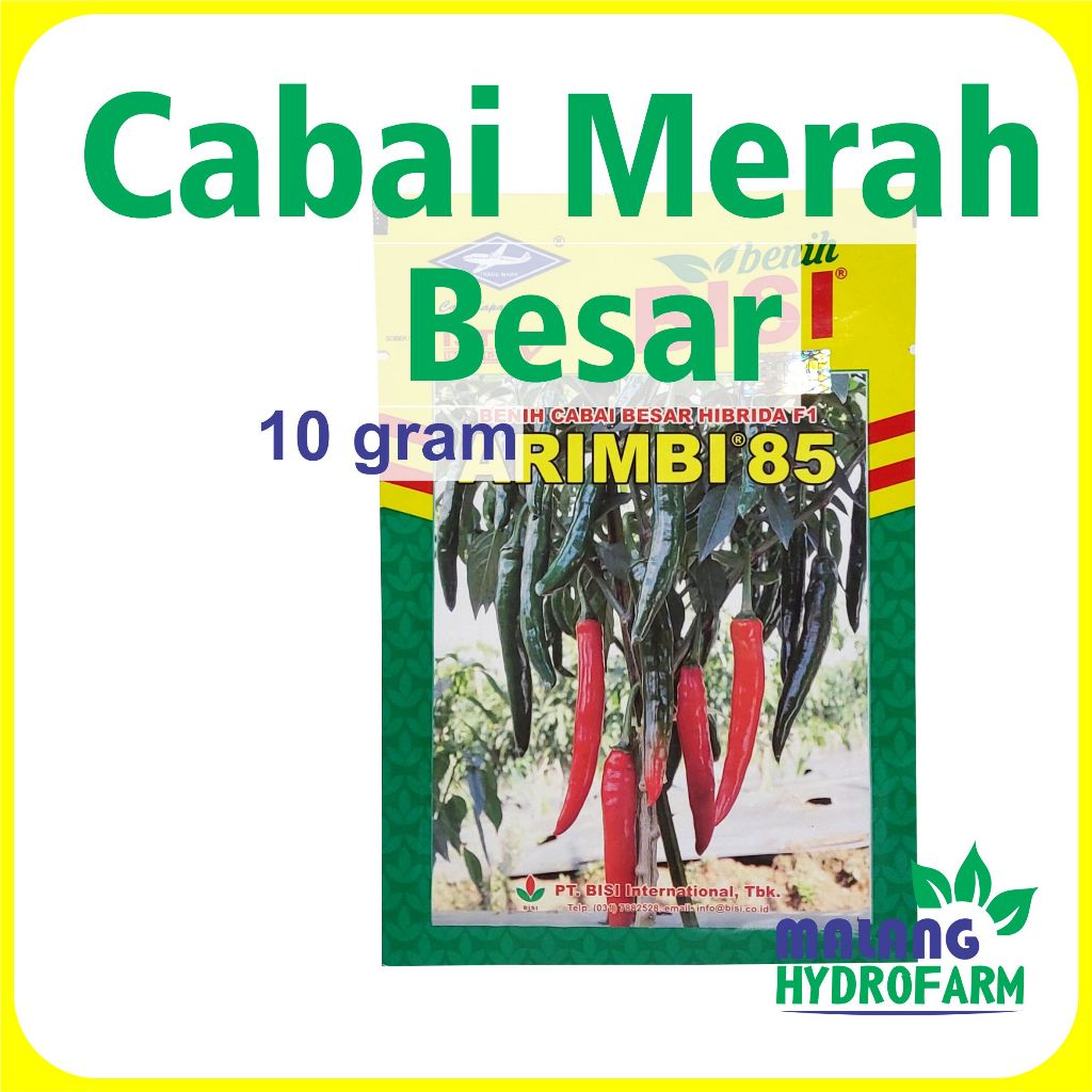 Benih Cabai Besar Arimbi 85 10 Gram Cap Kapal Terbang Merah Hijau Hydroponik Hidroponik Biji Bibit