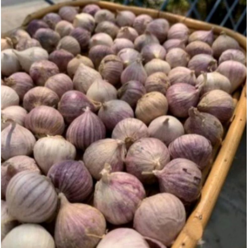 

Bawang putih lanang 500gr