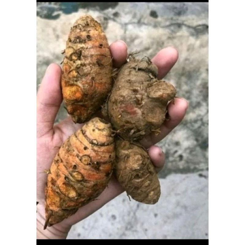 

biang kunyit