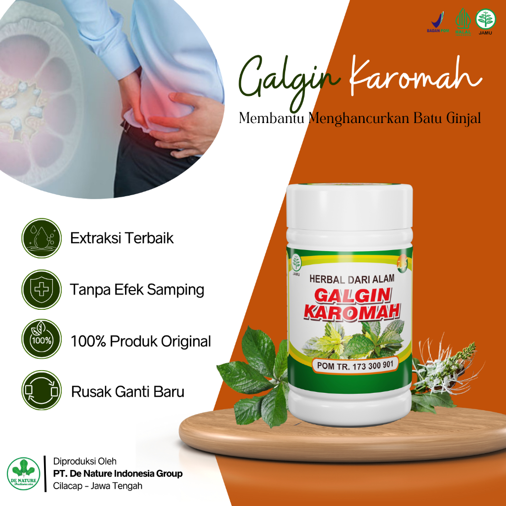 Obat Herbal Penurun Kreatinin Tinggi GALGIN Asli Produk De Nature Obat Leukosit Tinggi, Ureum Tinggi