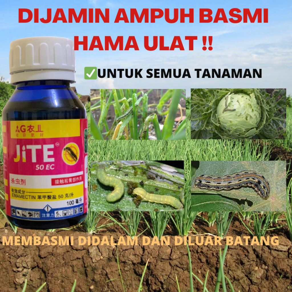 Insektisida Sistemik Ulat Racun Obat Hama Pembasmi Ulat Dalam Batang Ulat Grayak Pada Tanaman Bawang
