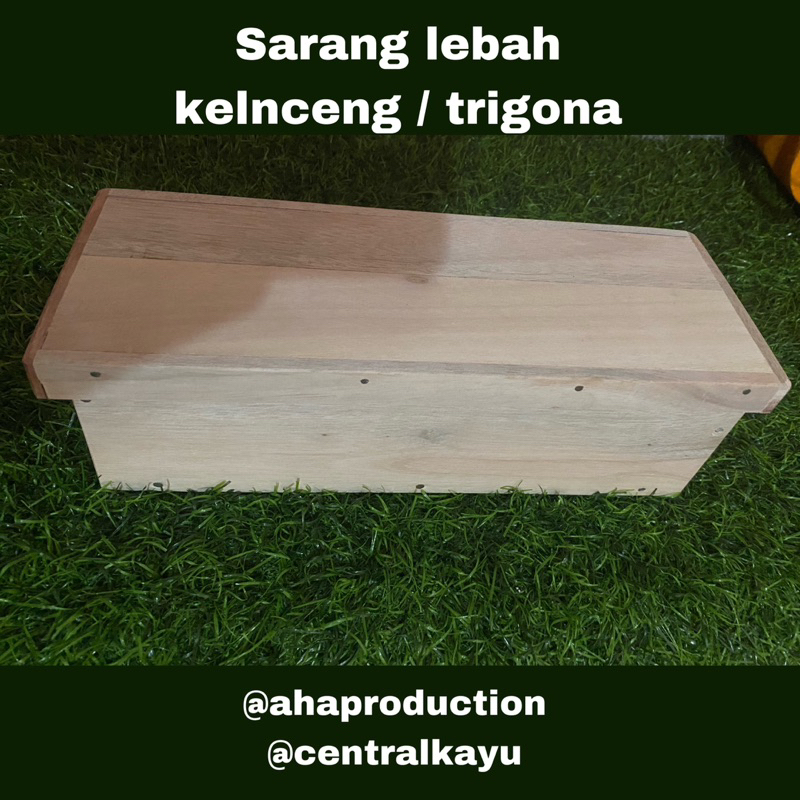 kotak kelanceng kotak sarang lebah
