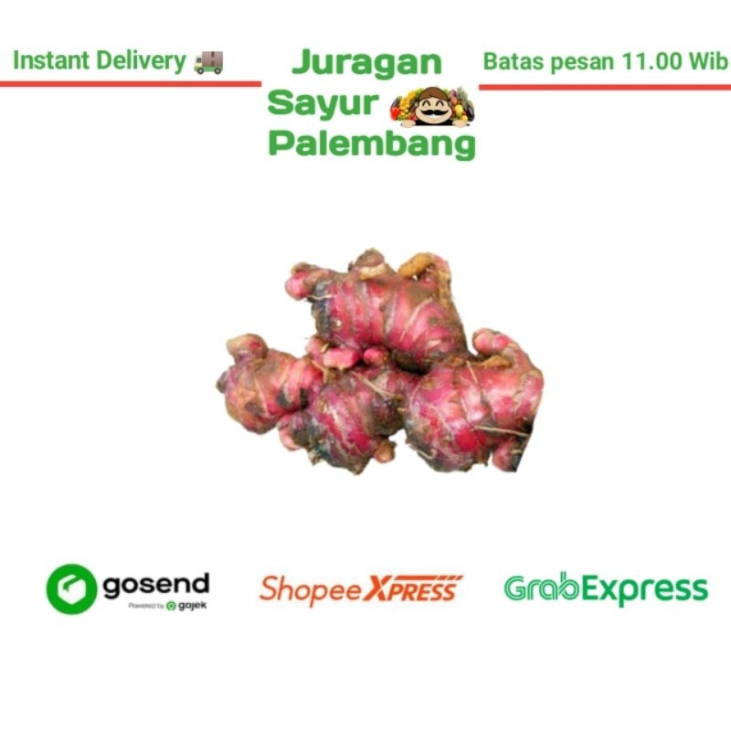 

Jahe Merah 500 Gram - Juragan Sayur Palembang