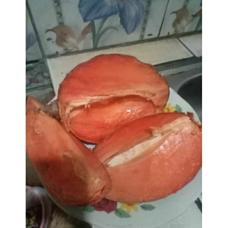 

Ready buah mamey sapote sawo meksiko