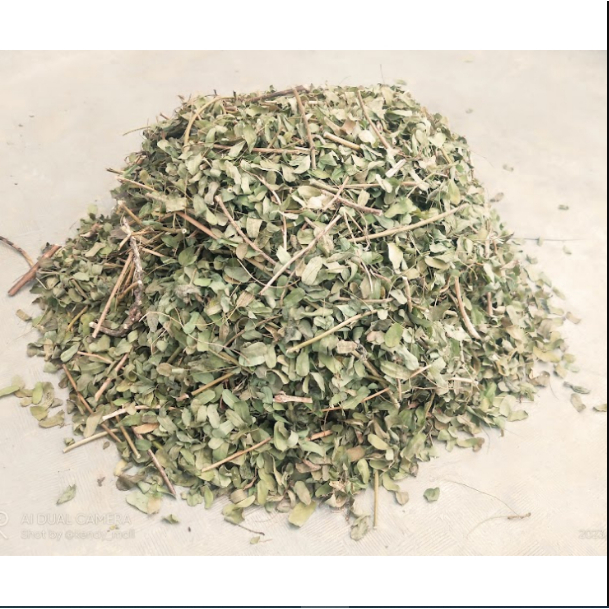 

Daun Saga Kering/Daun Sogo Kering/ Daun Seuge Kering Alami