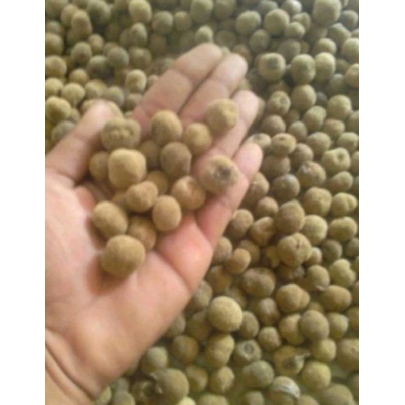 

Biji Jati Emas Super Berat 1kg(bonus pupuk)