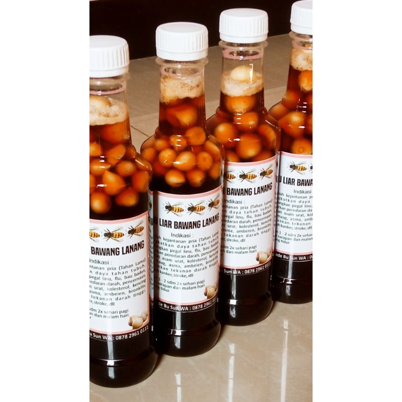 

Madu akasia bawang lanang asli