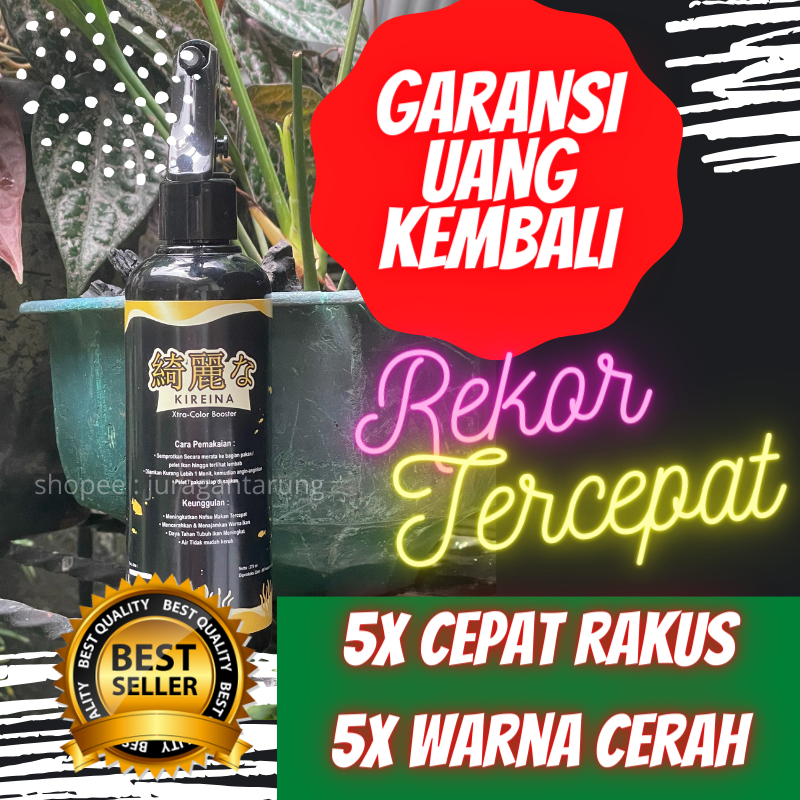 Vitamin Ikan Louhan,Penambah Nafsu Makan Ikan Louhan,Vitamin Penambah Nafsu Makan Ikan Louhan,Obat P