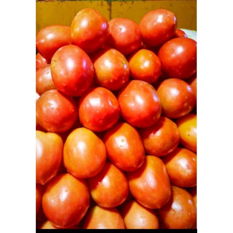 

timat merah besar & tonat ijo 250gr - 500gram