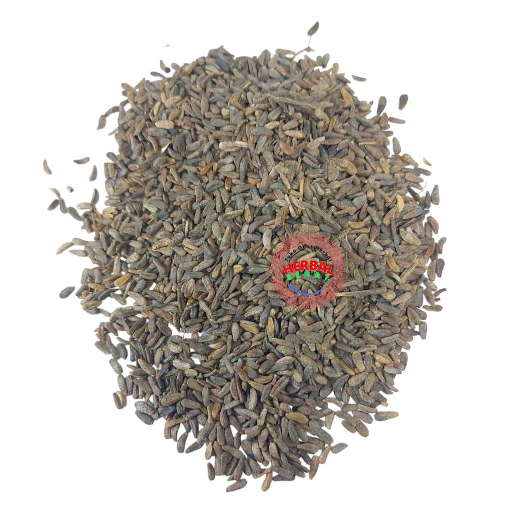 

Niu Bang Zi 100 Gram 牛旁子 Niubangzi Niubang Zi Fructus Arctii Niu Pang Zi