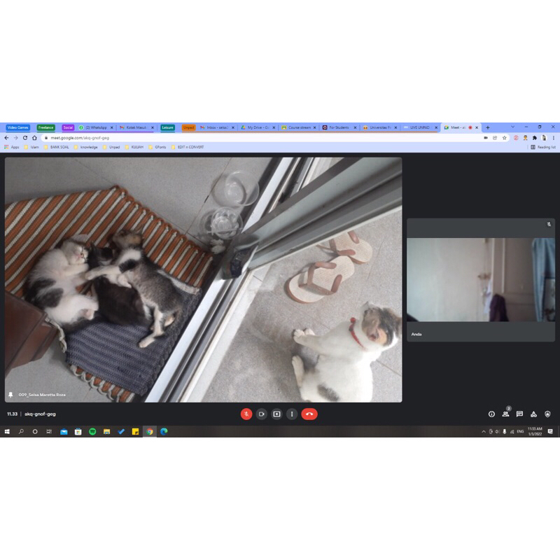 

Ucapan doa tema kucing