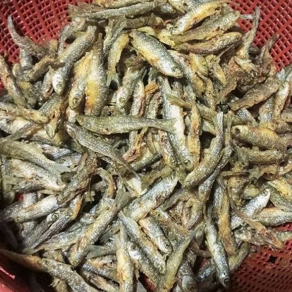 

bada goreng 1KG bada goreng / ikan bada / bada maninjau / bilis goreng/ bada goreng/ bilis goreng/bilih /bada goreng