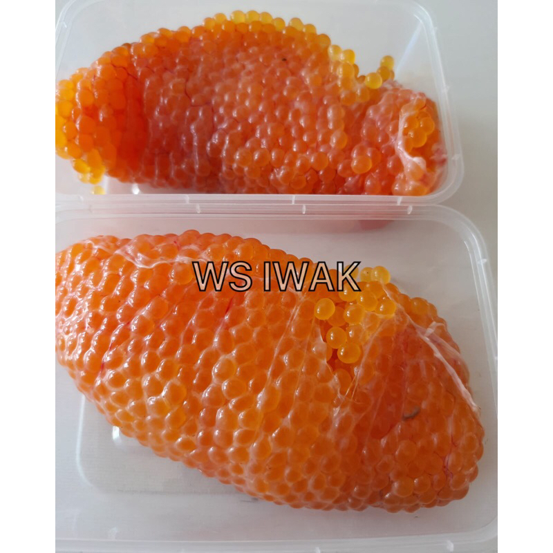 Telur Ikan Sembilang 1kg