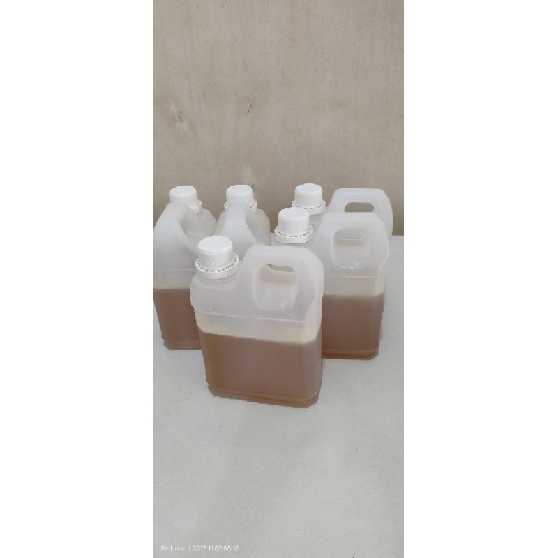 

Madu Lebah Murni (Apis Melifera)