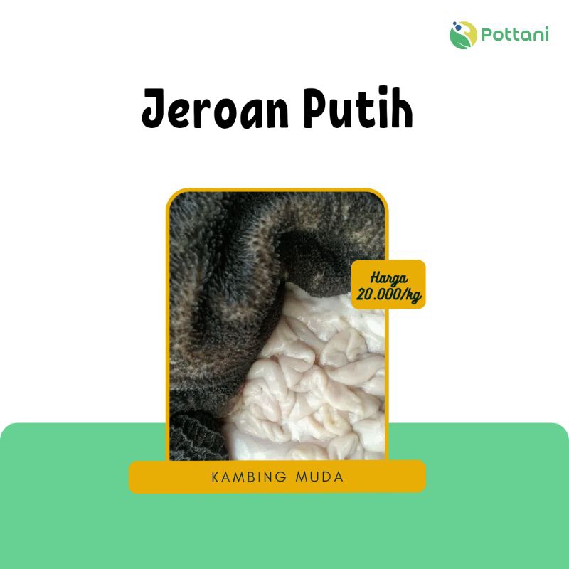 

Jeroan Putih Kambing Muda / Jeroan / Babat Kambing / Usus / Babat / Usus Kambing