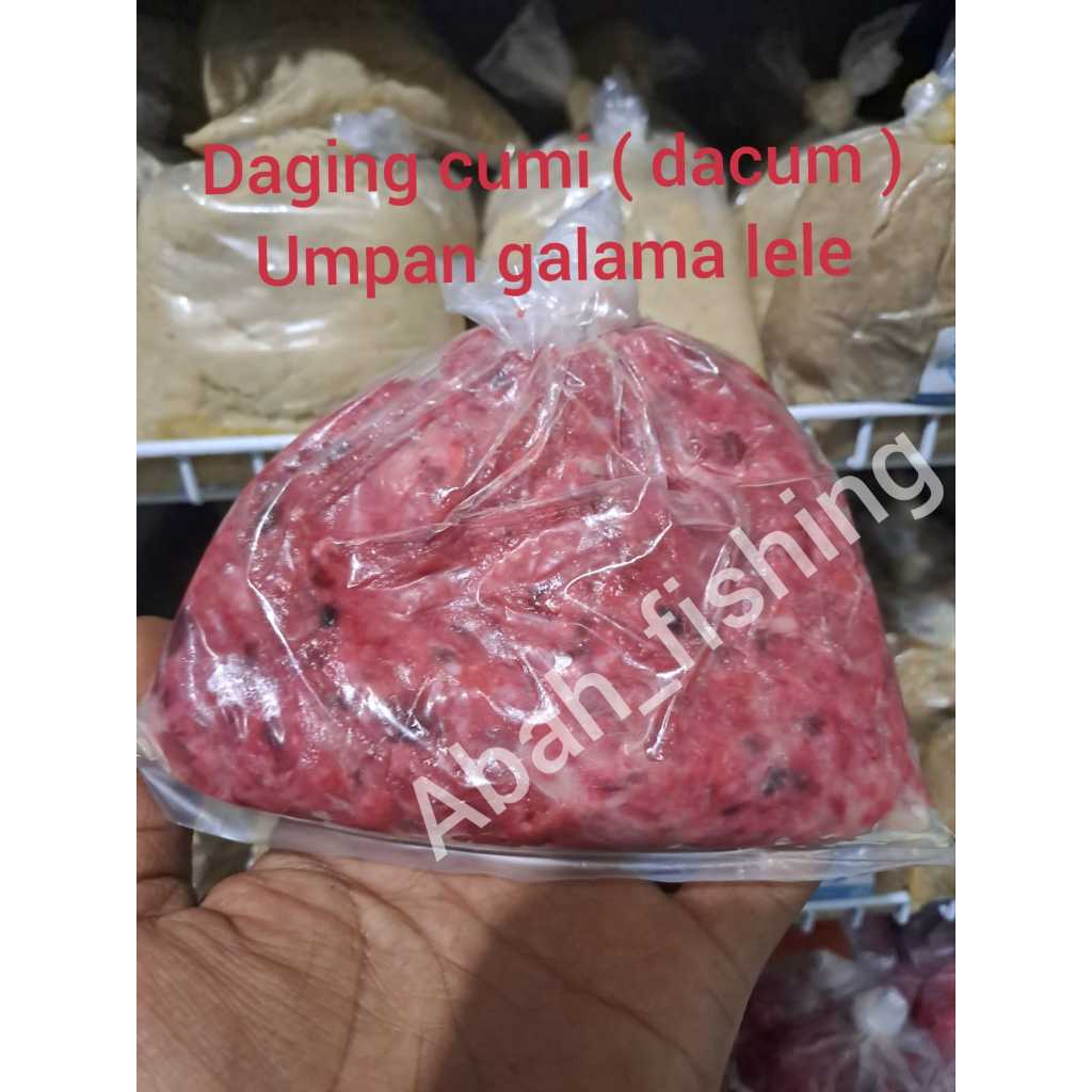 Umpan DACUM Galatama lele ( daging cumi ) umpan galatama lele viral gacol siangt malem