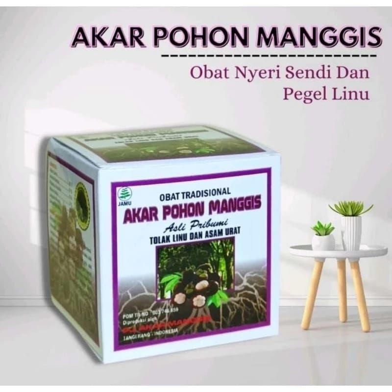 Akar pohon manggis original
