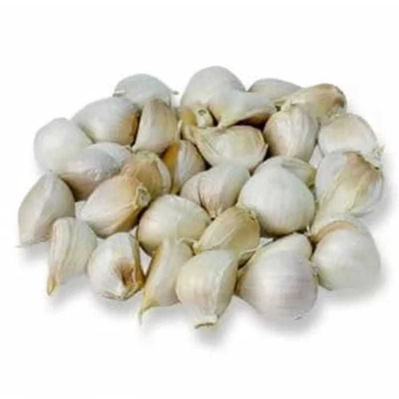 

bawang putih kating