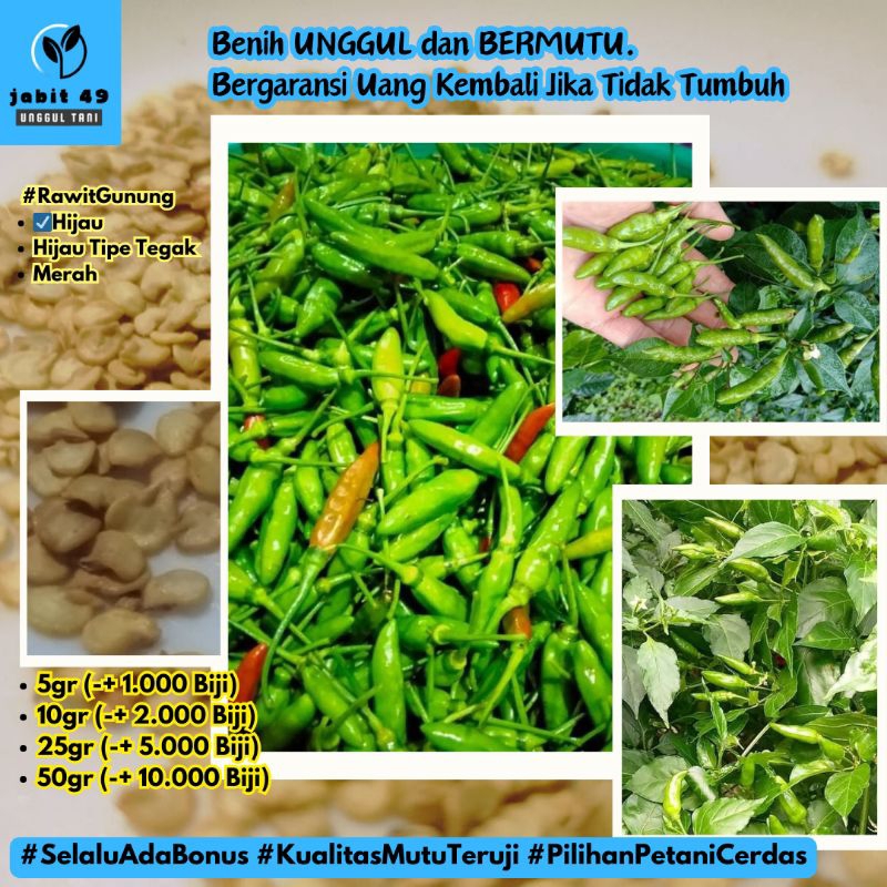 Benih Unggul Cabe Rawit Hijau Lokal Cabe Gunung 5gr &amp; 10gr Bibit Cabai Unggul Garansi Uang Kembali Jika Bibit Tidak Tumbuh