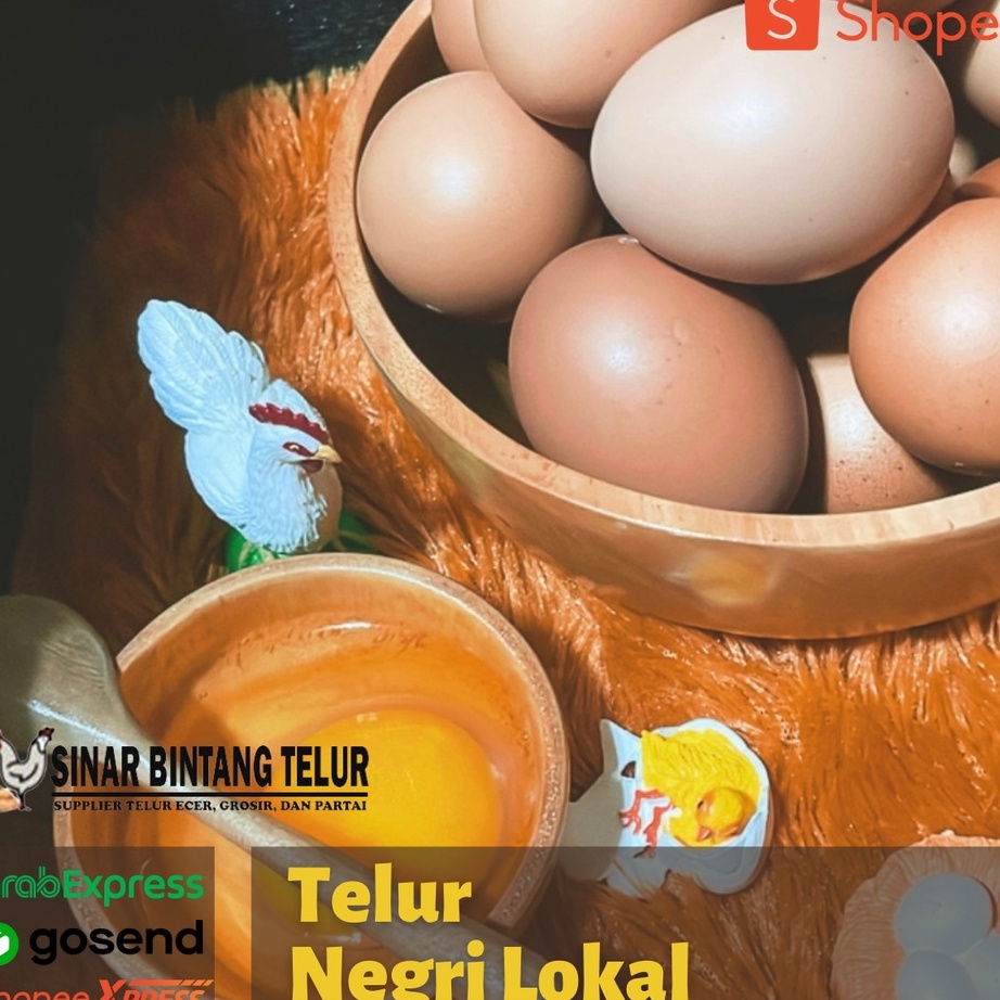 

Terbaru TELUR AYAM NEGRI FRESH