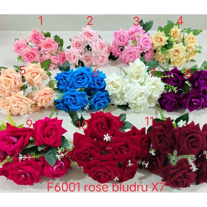 STAR Rose bludru bintang cabang 7