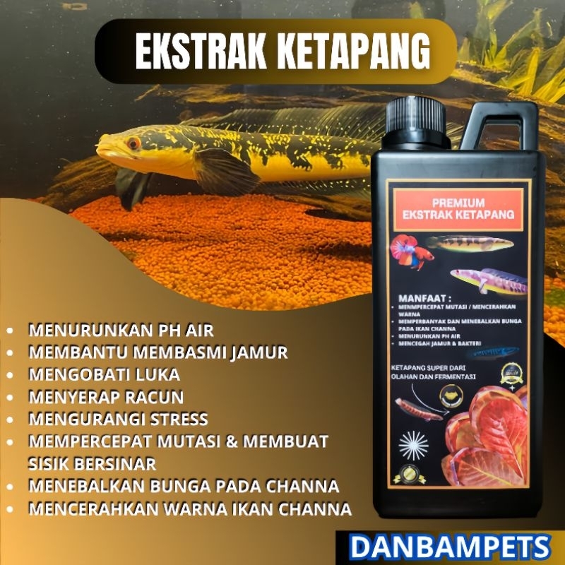 Ekstrak Daun Ketapang Channa Dan Cupang Premium 1 Liter