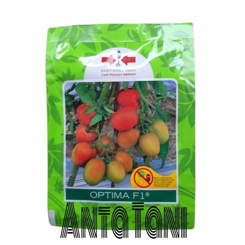 BENIH TOMAT OPTIMA F1 5 GRAM