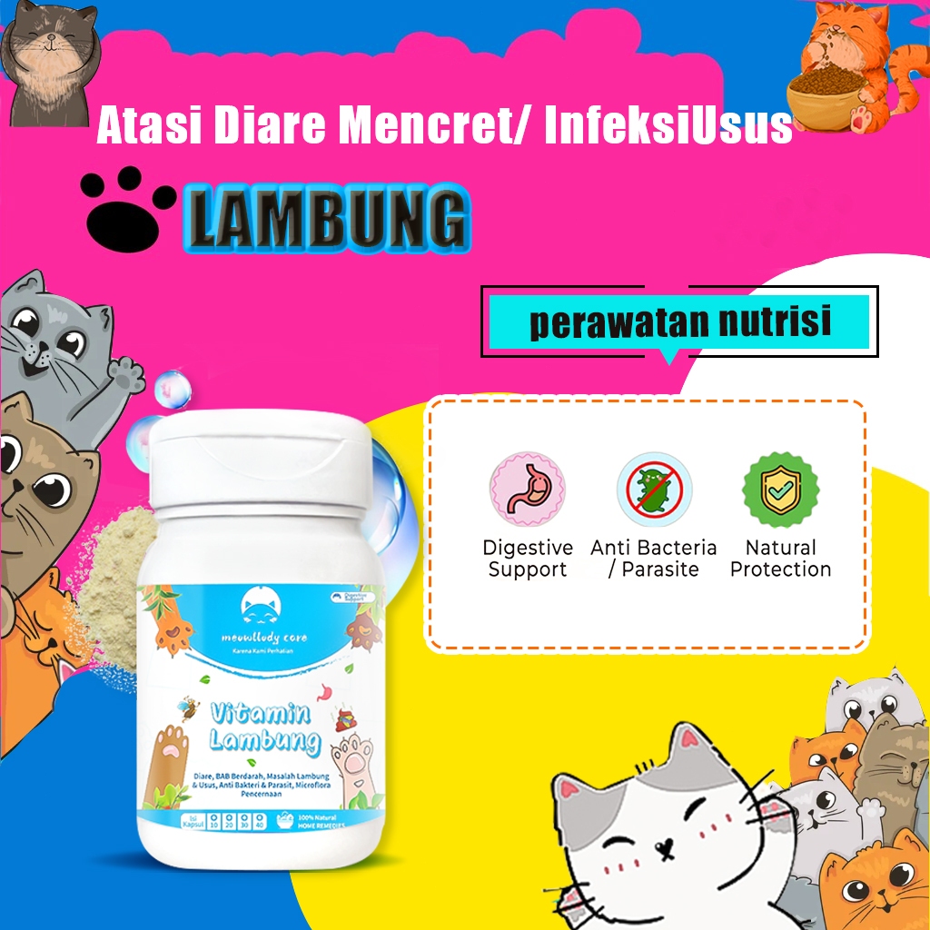 Vitamin Kucing MASALAH PENCERNAAN untuk Radang Usus Diare Berdarah dan Mencret Pup Radang Usus Sensi