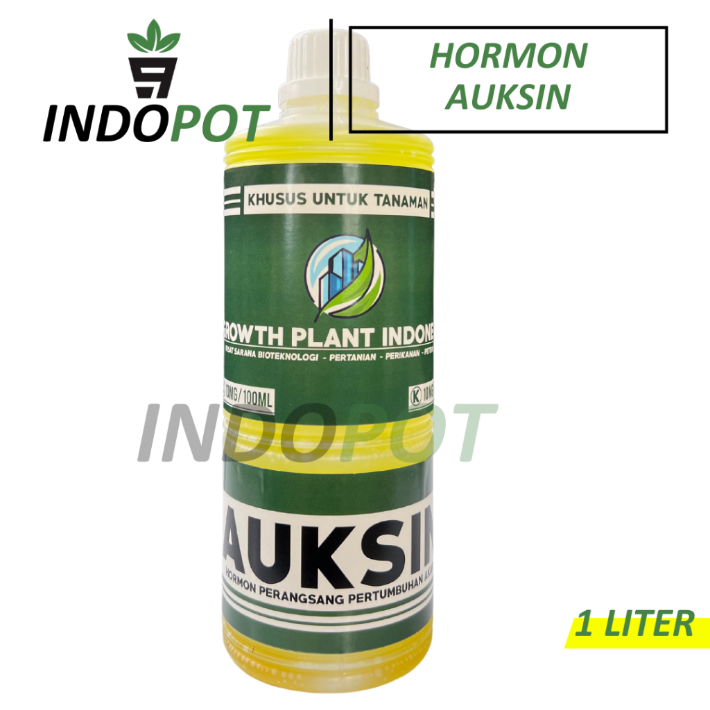 Stok Baru Hormon Perangsang Akar dan Tunas AUKSIN 1 Liter