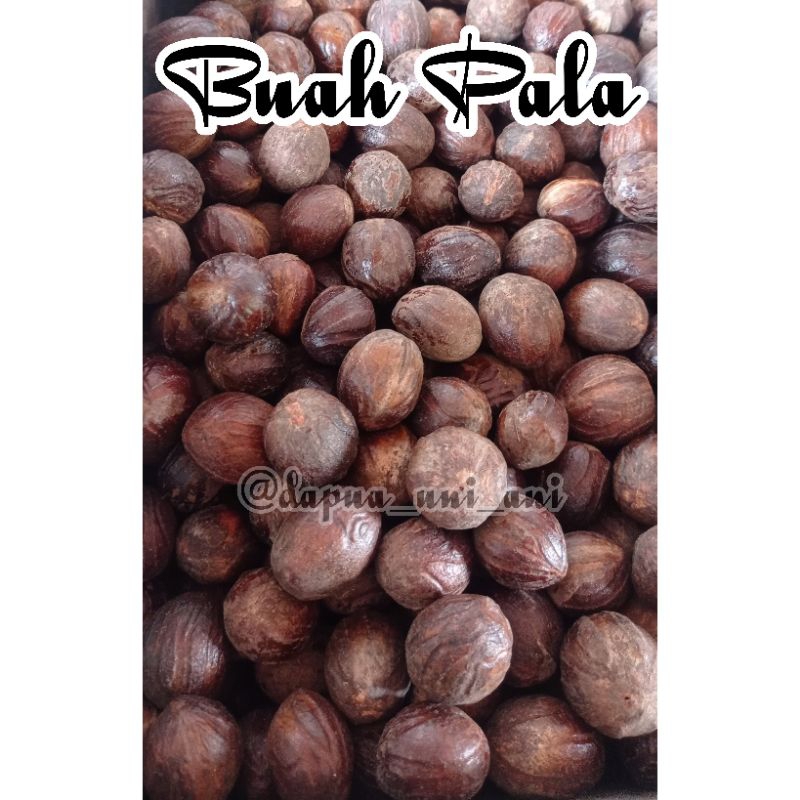 

JUAL REMPAH / BUAH PALA 50gr