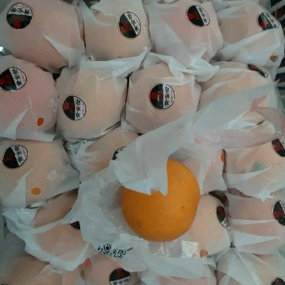 

Jeruk Sunkist Neval