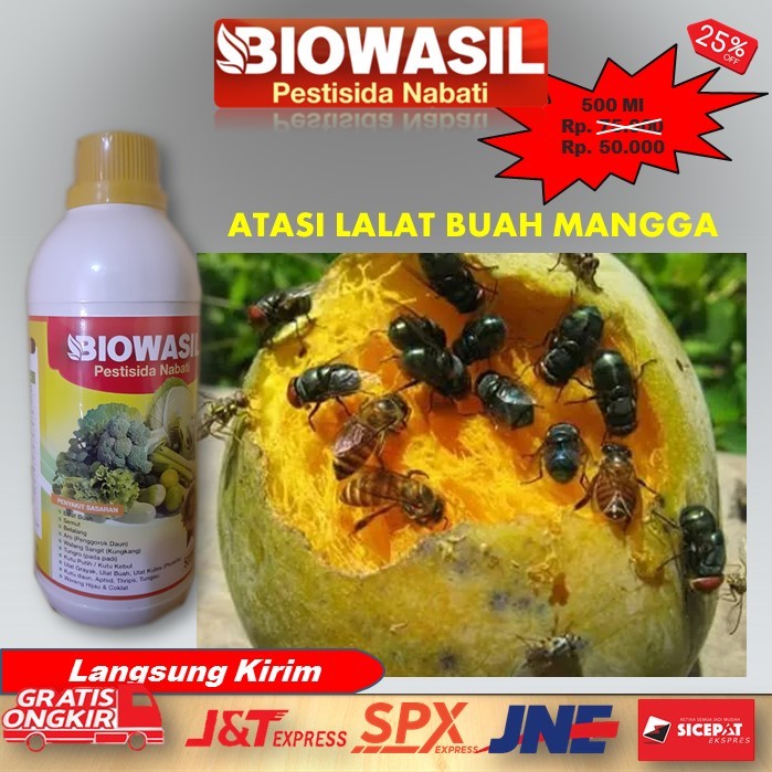 Murah BIOWASIL Pestisida Nabati 500 Ml Paling Ampuh Pupuk Pengendali Hama Lalat Buah Buah Mangga – A