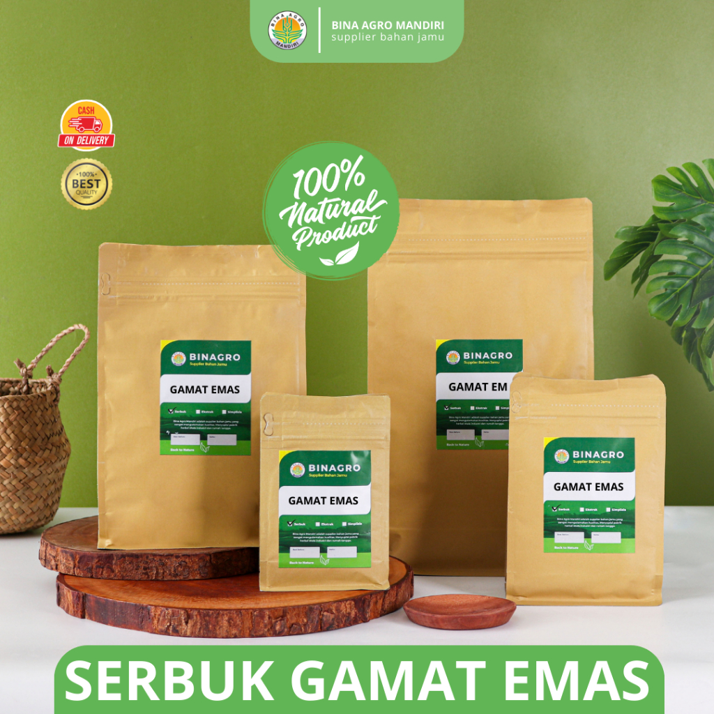 GAMAT EMAS Teripang Emas Serbuk Bubuk Jamu Gamat Emas Murni Tanpa Campuran Premium Binagro