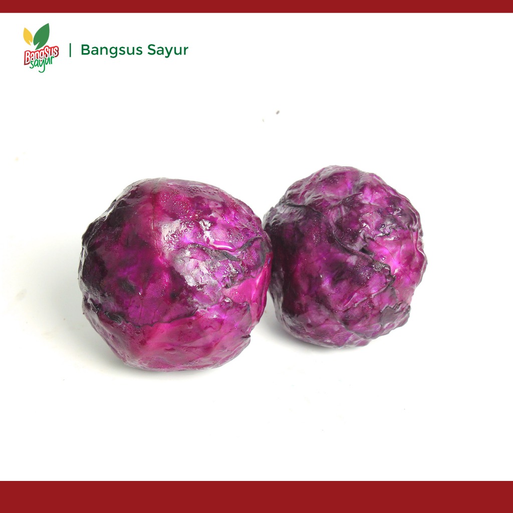 

Kol Ungu 1 kg Segar Murah